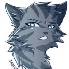 jayfeather1
