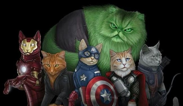 Czy rozpoznasz bohaterów Marvela jako koty!