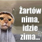 Majakotek15