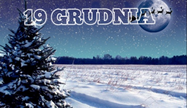 19 GRUDNIA