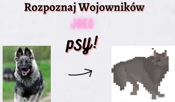 Rozpoznaj Wojowników jako psy!