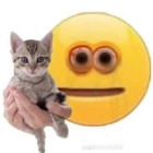 _.Noah..g2yass.lmax0