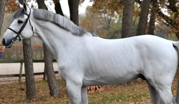 Miłość i piłka nożna cz.2