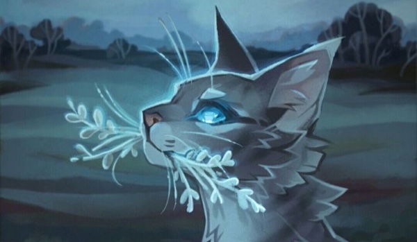 Czy rozpoznasz jaki to kot ze starożytnego Plemienia Płynącej Wody po obrazkach z WikiFandom?