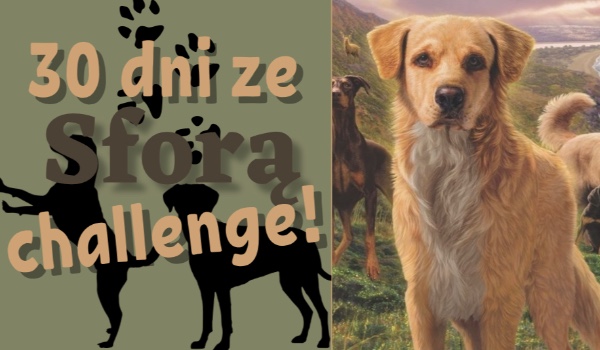 30 dni ze Sforą challenge! #2