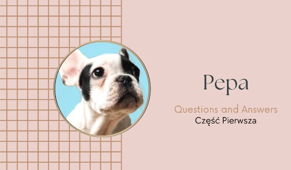 Pepa – QnA • Część Pierwsza