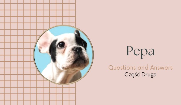 Pepa – QnA • Część Druga