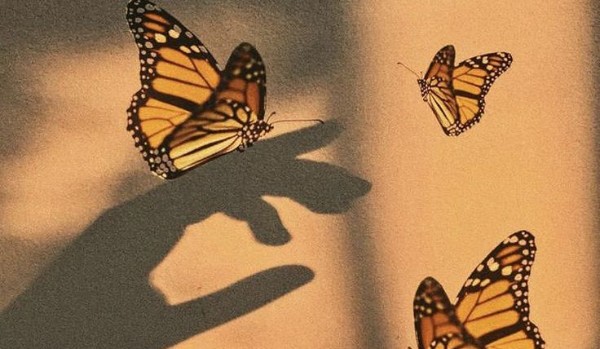 Piękne jak Motyle#1 – Chcę być lekka jak motyl