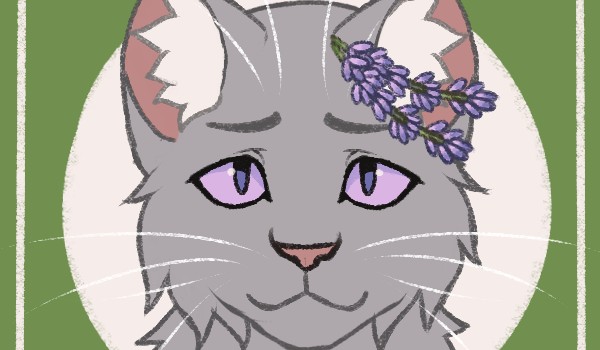 TALKSY z wojowników. 4