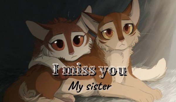 I miss you, my sister |one shot|