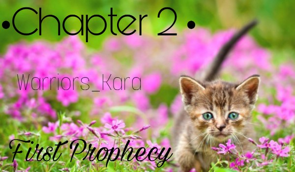 Warriors •Chapter 2• First Prophecy [Warriors_Kara]