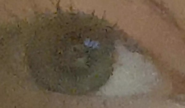 Droga do szczęścia – 1. Temat powraca