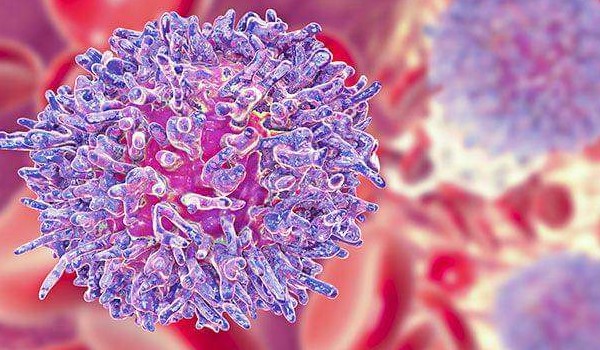 Jakim Leukocytem jesteś?