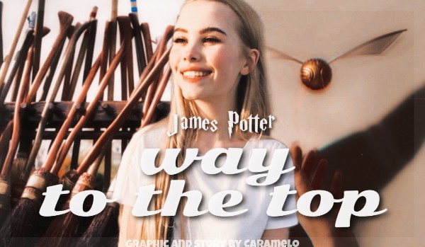 way to the top | James Potter | one shot