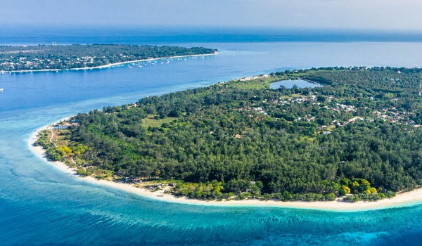 krindz test iq nie polecam