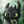 FoxyDragon