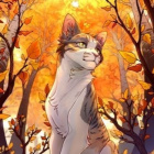 kittykaktus1234567890