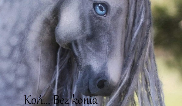 Koń… Bez konia #2