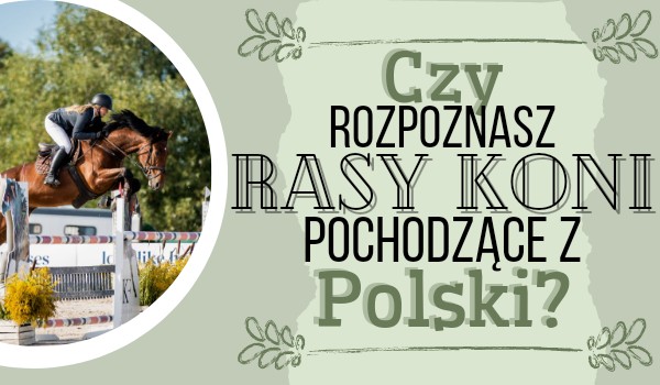 Czy rozpoznasz rasy koni pochodzące z Polski?