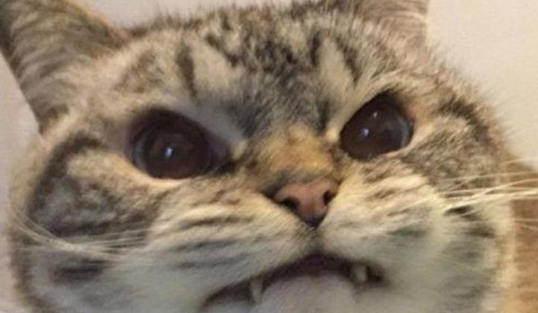 Dziedziczna tajemnica cz 5(kontrola)