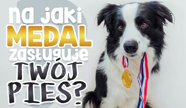 Na jaki medal zasługuje Twój pies?