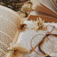 book._.stories