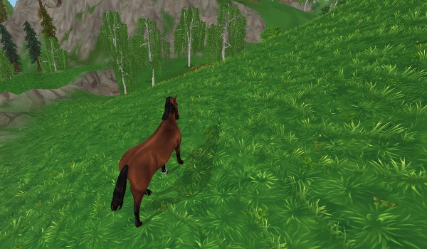 Star stable trudny quiz