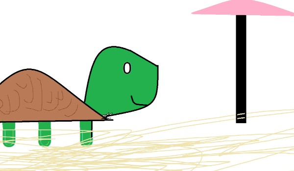 test wiedzy o żółwiach