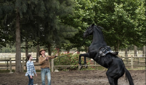 Jeździecka piękność…..#3