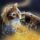 Warriors_Kara-Fanpage