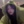 darling_vella