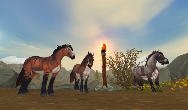 Mistycy, Leśnicy czy Wojownicy – do którego stada ze świata Star Stable pasuje Twój koń?