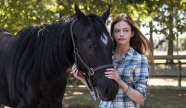 Jeździecka piękność………..#2