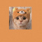 Katie12345678uwu