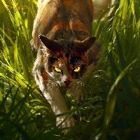 ..Warriors..zyciem..ok