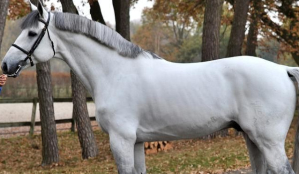 Miłość i sława cz.3