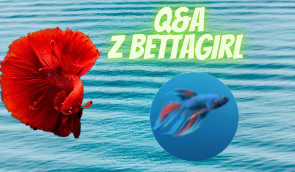 Q&A z Bettagirl odpowiedzi