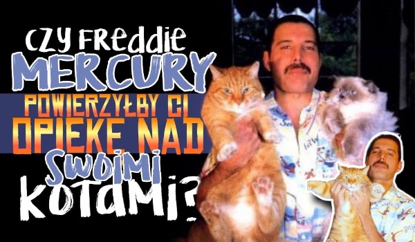 Czy Freddie Mercury powierzyłby Ci opiekę nad swoimi kotami?