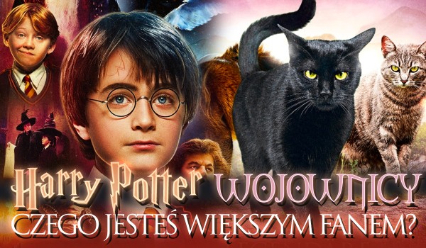 Harry Potter czy Wojownicy? Czego jesteś WIĘKSZYM fanem?
