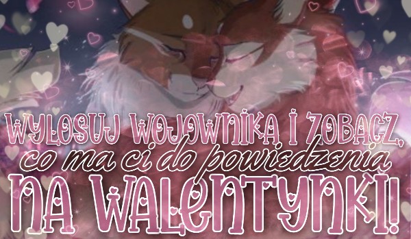Wylosuj kota z ,,Wojowników” i zobacz, co ma Ci do powiedzenia na Walentynki!