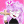 Lily_The_Cup