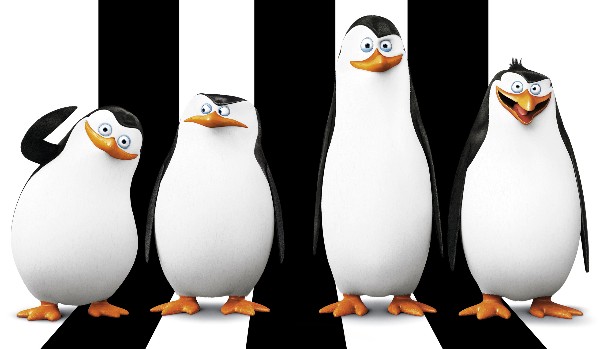 Ile wiesz o pingwinach z Madagaskaru?