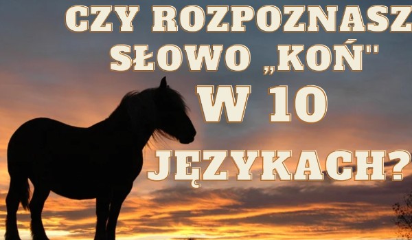 Czy rozpozonasz słowo ,,koń” w 10 językach?