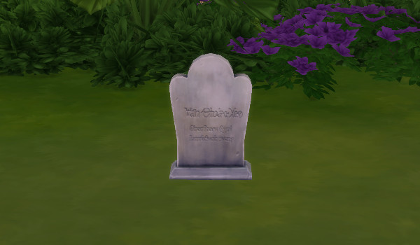 30 day sims challenge #2