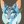 JayFeather.