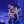julka_14_v1_light