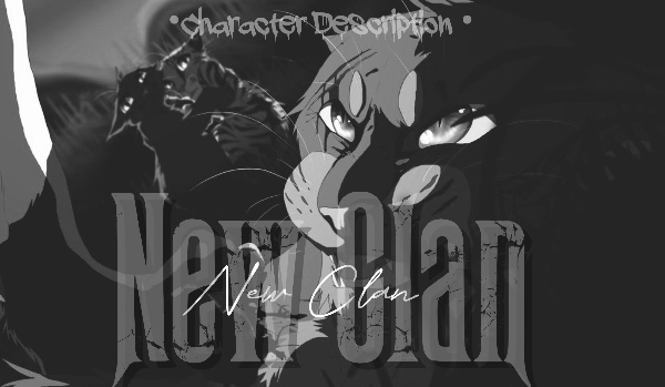 New Clan | • Character Destription •