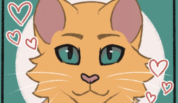 Koteły na zamówienie