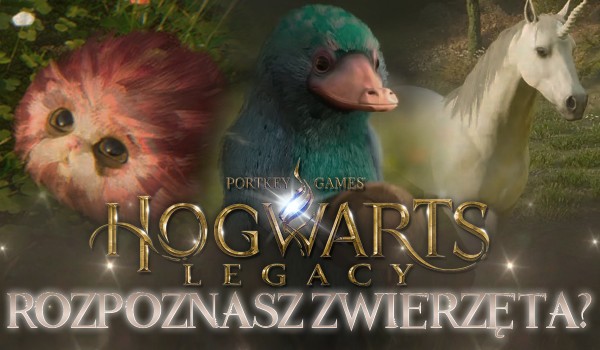 Czy rozpoznasz zwierzęta z gry „Hogwarts Legacy”?