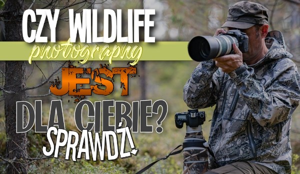 Czy wildlife photography jest dla ciebie?